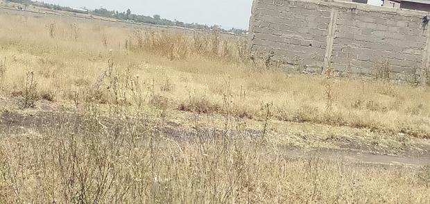 Plots for Sale
