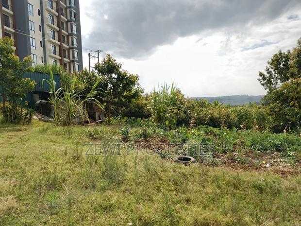 1/4 Acre Zambia, Ngong