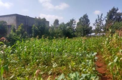 1/2 Acre Kerarapon