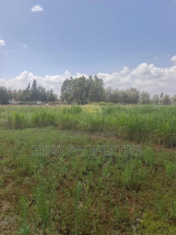 Quarter Acre Kibiku-Ngong