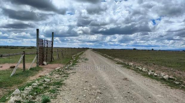 50 Acres Isinya