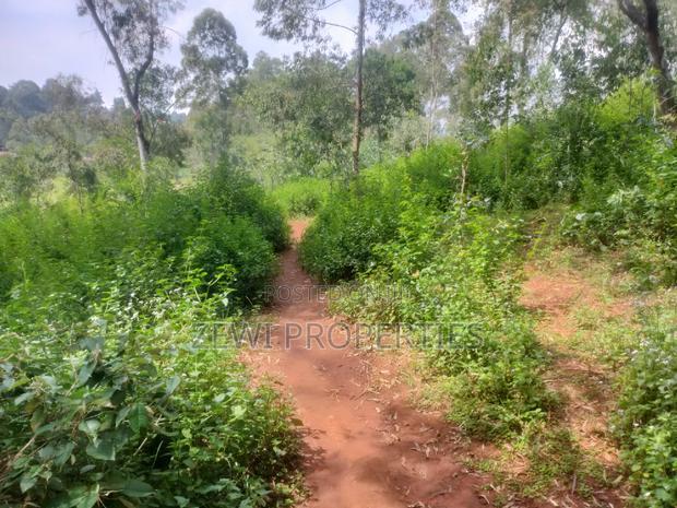 6 Acre's Karen