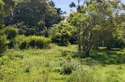 One Acre Karen