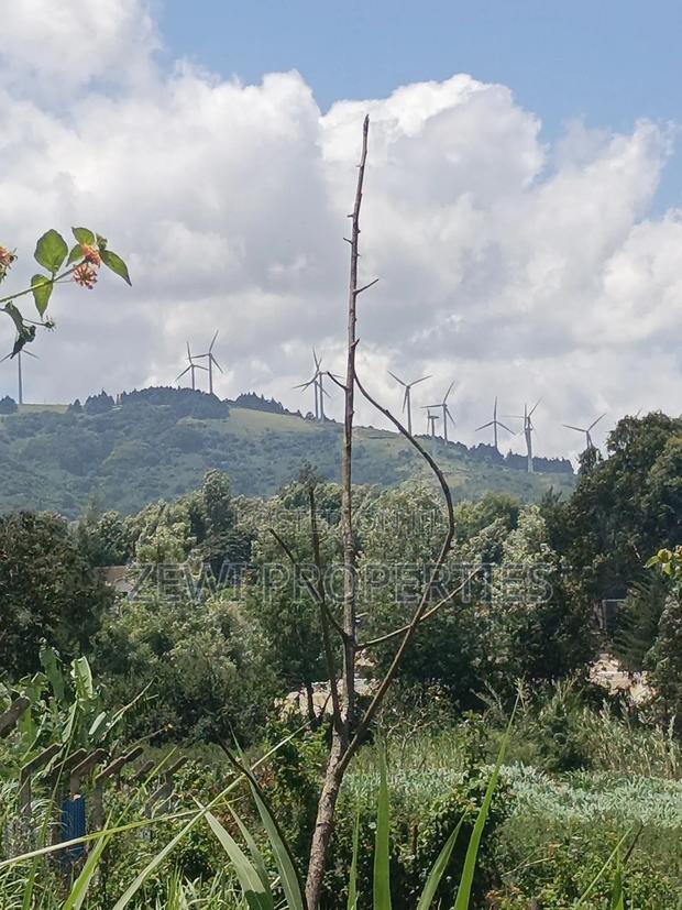 1/4 Acre Matasia