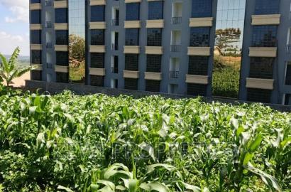 1/4 Acre Commercial Ngong