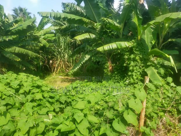 1/8 Acre 16th Drive Kerarapon