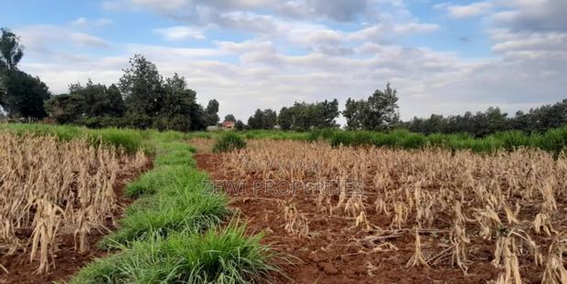 1/4 Acre Kibiko-Ngong