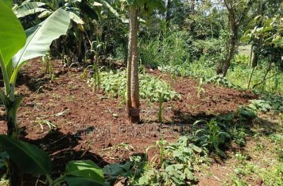 1/8 Acre Ngong