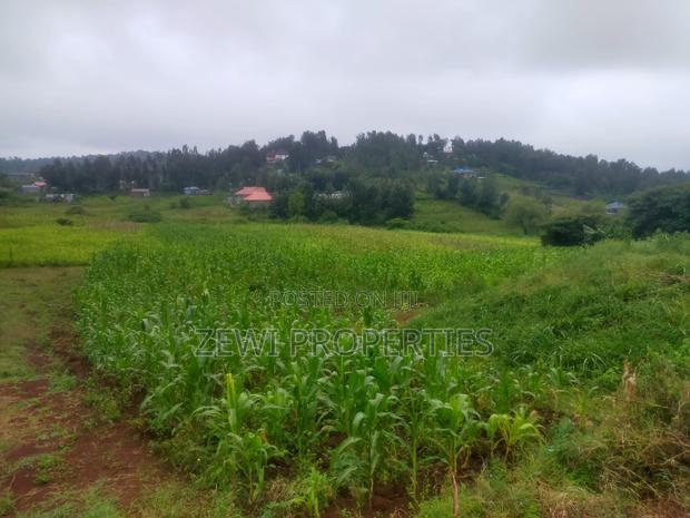 1 Acre Kauurai
