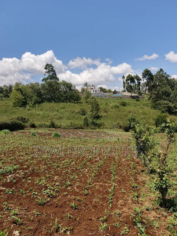 Half Acre Upper Matasia