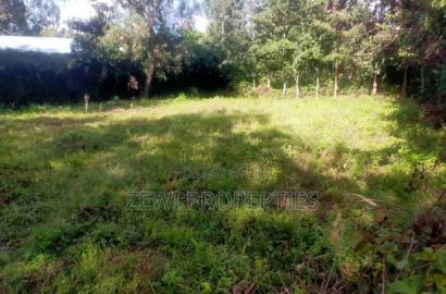 1/8 Acre Olkeri