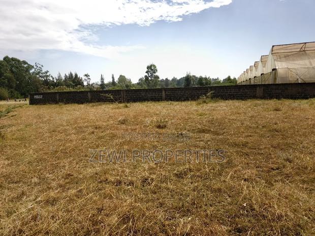 Quarter Acre Kerarapon