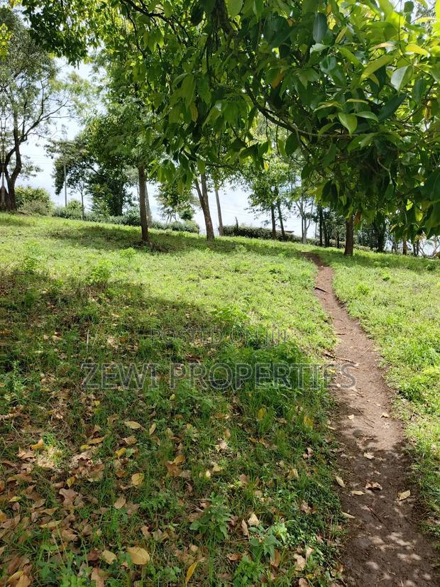 Quarter Acre Matasia