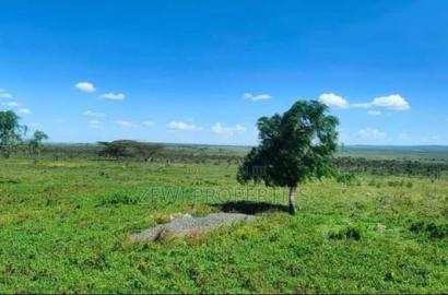 100 Acre's Kipeto-Kajiado County
