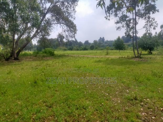 6 Acre's Karen