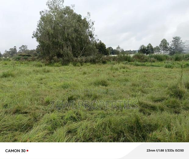 2.3 Acres Karen