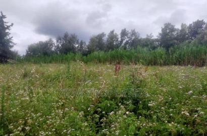 1/4 Acre Matasia Ngong