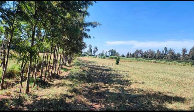 3 Acres Kibiko