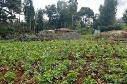 Half Acre Kerarapon