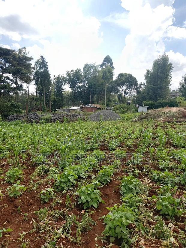 Half Acre Kerarapon