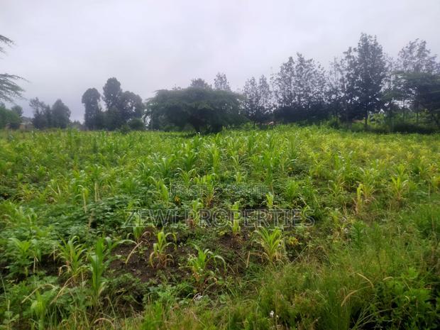 1/8 Acre Plots Merisho Matasia-Ngong