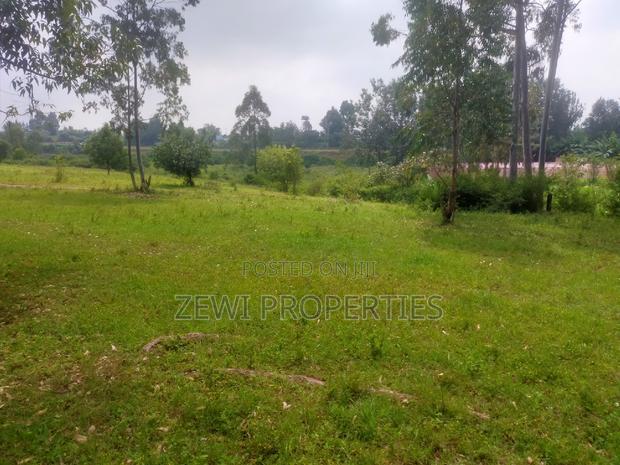 6 Acre's Karen