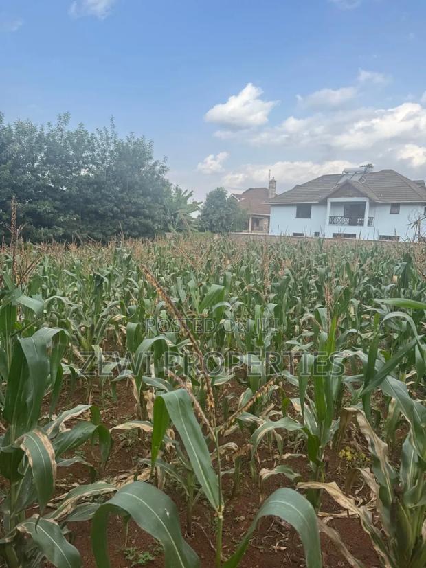 1/4 Acre Kerarapon