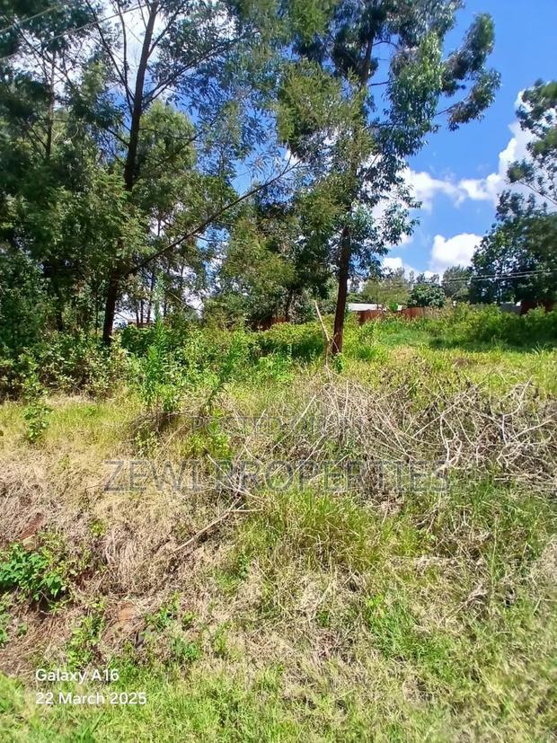 Quarter Acre Ngong
