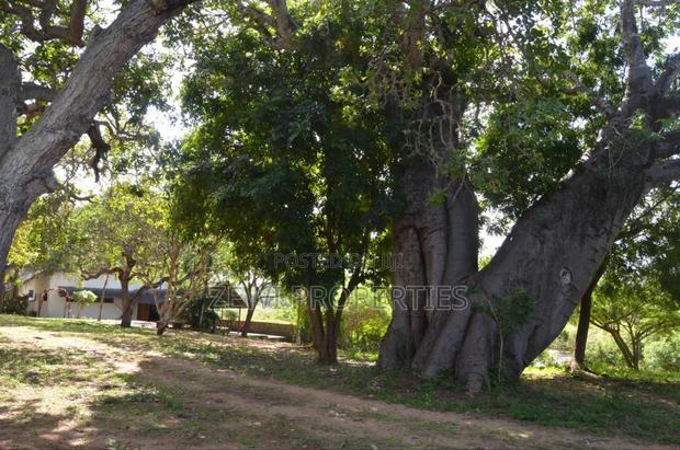 3.5 Acres Diani