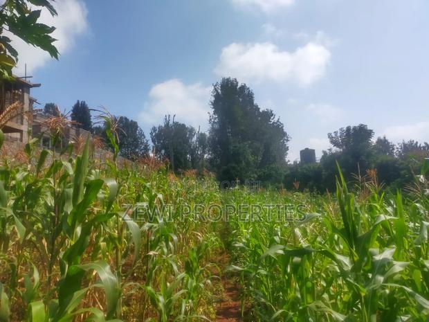 1/2 Acre Kerarapon