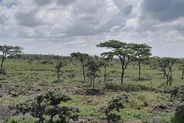 100 Acre's Kipeto, Kisearian-ngong