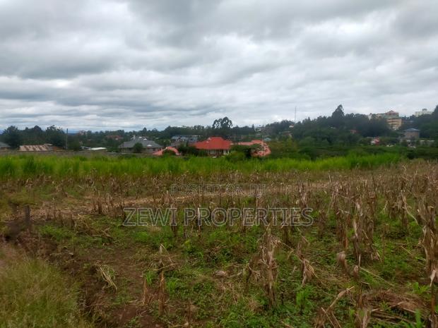 1/4 Acre Matasia