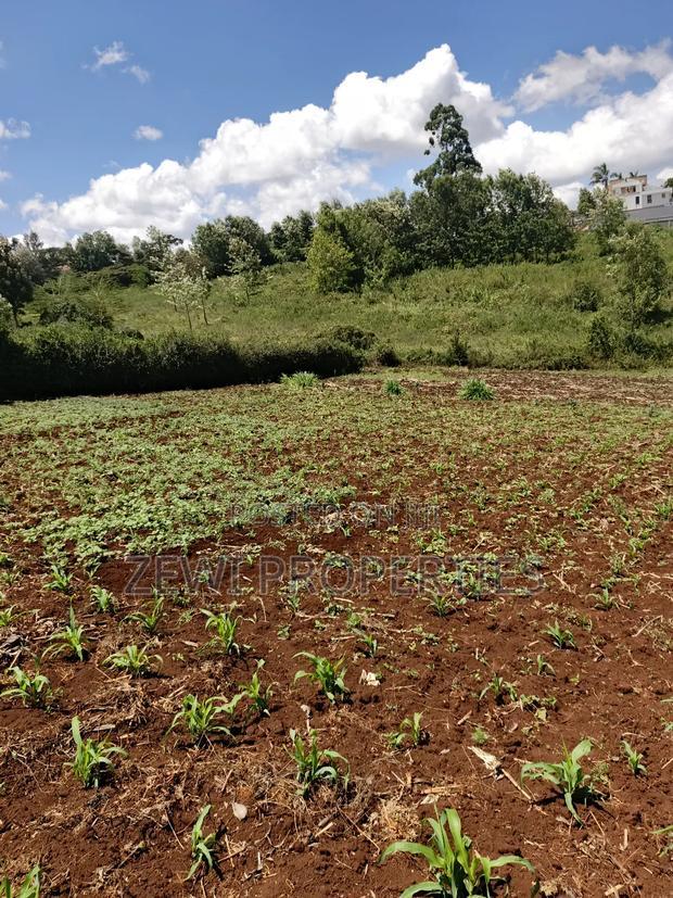 Half Acre Upper Matasia