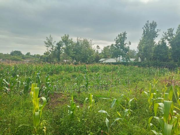 50*100 Serviced Plot's in Ngong Ololua Area