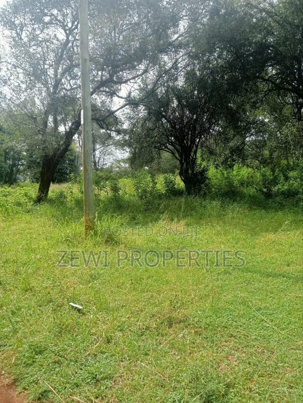 9 Acre Prime Hardy Karen