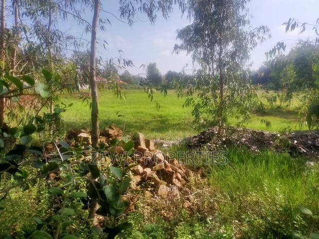 1/2 Acre Fana Road, Karen