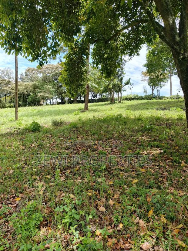 Quarter Acre Matasia
