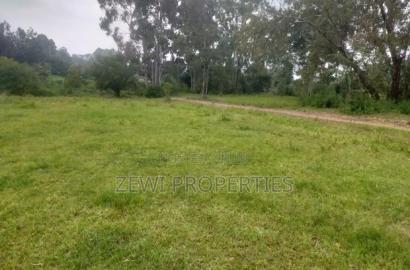 6 Acre's Karen