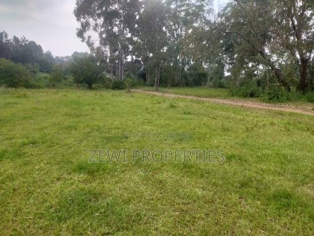 6 Acre's Karen
