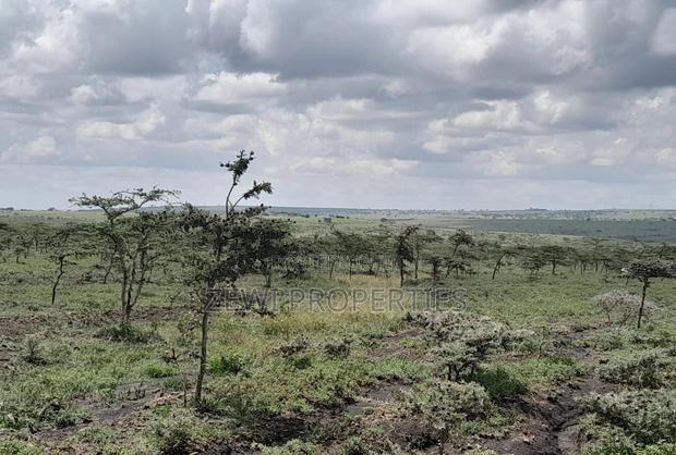 100 Acre's Kipeto, Kisearian-ngong