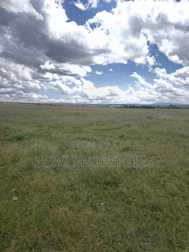 5 Acres Kisaju