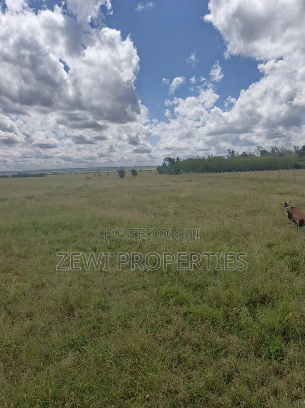 5 Acres Kisaju