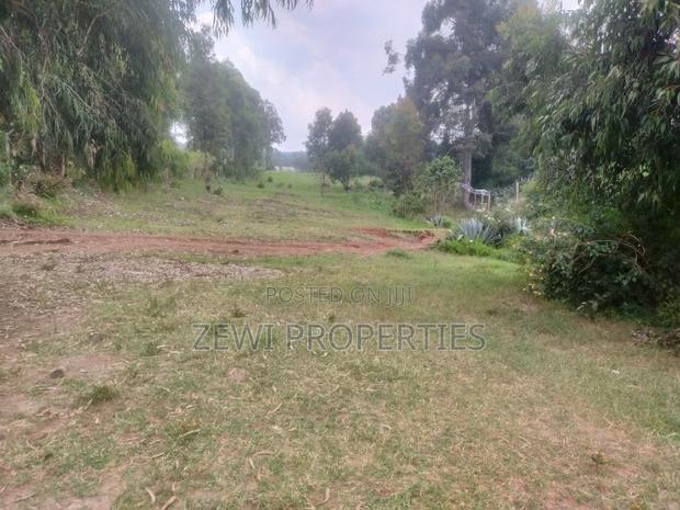 6 Acre's Karen
