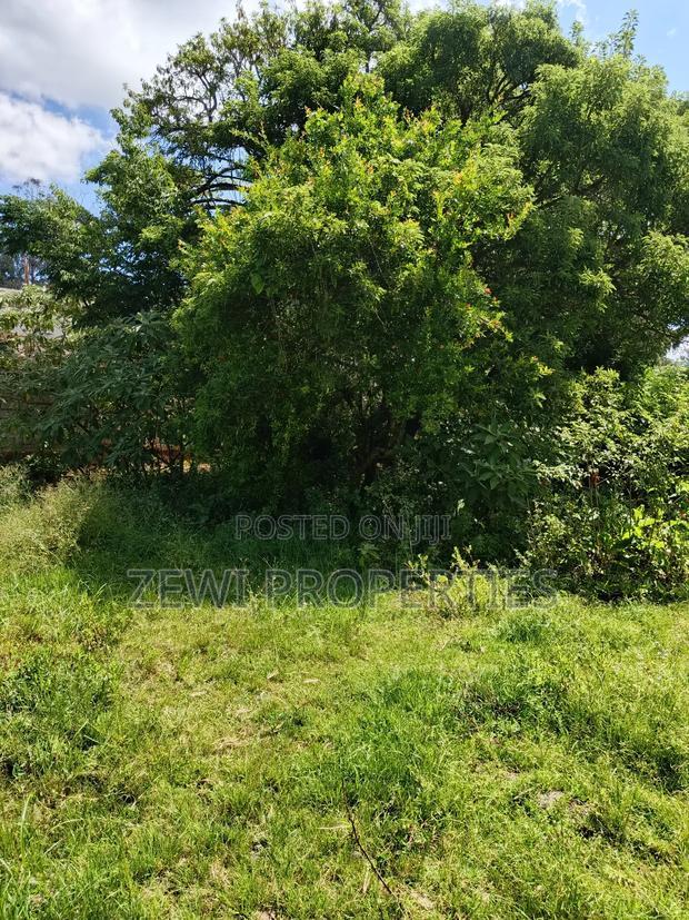 One Acre Karen