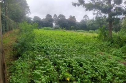 1/4 Acre Plot Matasia, Barabara Mpya