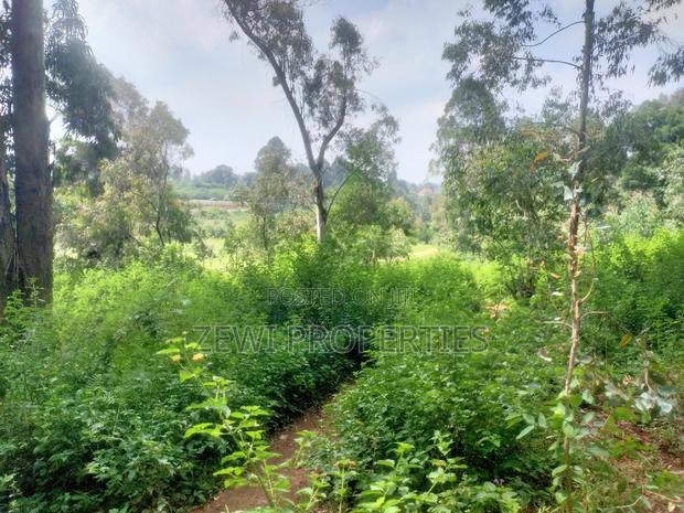 6 Acre's Karen