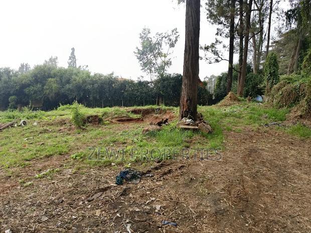 1/2 Acre Karen
