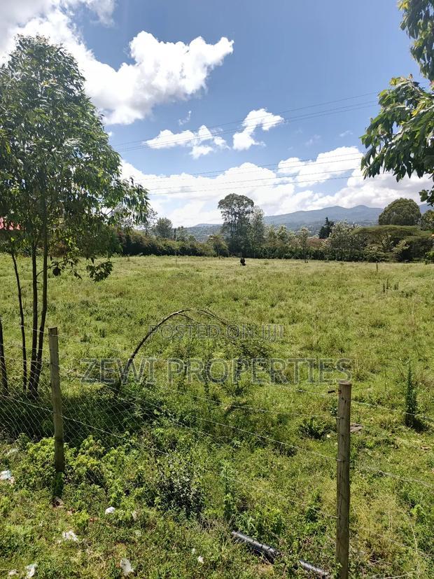 Quarter Acre Olkeri