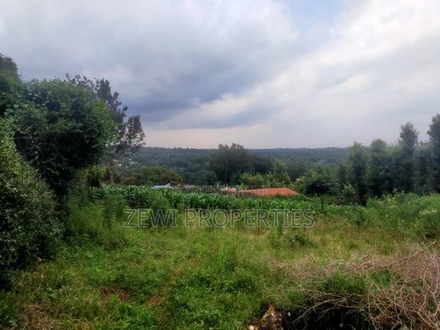 1/4 Acre Moibo Road