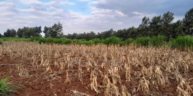 1/4 Acre Kibiko-Ngong